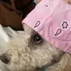 Teresa Caputo - @terrycap08 - TikTok