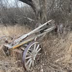 Terry Carleton - Facebook
