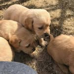 Terry Carleton - @terry639257 - Instagram