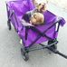 Terri Carlock - Facebook