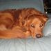 Terry Carlock - Facebook