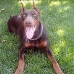 Terry Caron Wolek - @terrywolek - Instagram