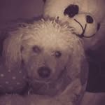 Terry Carrillo - @terry352carrillo - Instagram