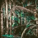 Terry Cartledge - @plant.print.explore - Instagram