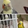 Terry Case - @user186352916 - TikTok