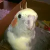 terry case - @terry.case3 - TikTok