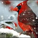 Terry Caserta - Facebook