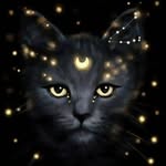 Terry Cason - @midnightmagic811 - Instagram
