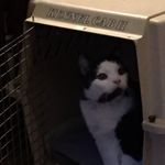 Terry Cassady - @terry.c1301 - Instagram