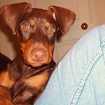 Terry Castonguay - @terrycastonguay - Instagram