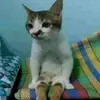 Terry - @terry_cast - TikTok