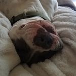 Terry Casteel - @casteel.terry - Instagram
