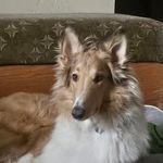 Terry Caswell - @caswellterry - Instagram