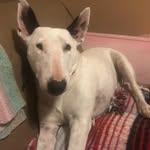 Terry Catlin - @t_catlin - Instagram