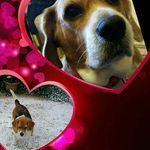 Teresa Catone - @terry_catone - Instagram
