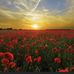 Terry Caton - Facebook