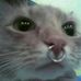 Terry Caton - Facebook