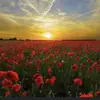 Terry Caton - @terry.caton - TikTok