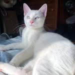 Terry🐱🩵 - @terrycatt_ - Instagram