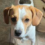 Terry Caven - @cavent - Instagram