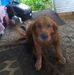 Terry Chafin - Facebook