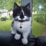 Terry Chaplin - @terry.chaplin.583 - Instagram
