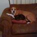 Terry Chartier - Facebook