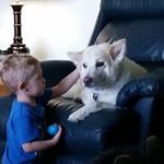 Terri Cheney - @terri.cheney - Instagram