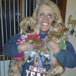 Terri Cheney - @cheneyterri - Instagram