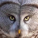 Terry Cheney - @terry.cheney.1 - Instagram