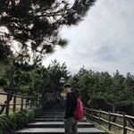 Terry Chow - @terry.chow.509 - Instagram