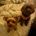 Terry Chow - Facebook