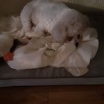 Terry Christopher - @terrychristopher49 - Instagram