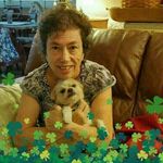 Terri Clancy - @clancyterri - Instagram