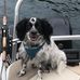 Terry Clary - Facebook