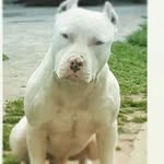 terryclayborn - @terryclayborn2004 - Instagram