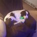 Theresa Cleland - Facebook