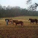 Terri Cockerham - @terricockerham - Instagram