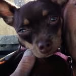 Terry Coffman - @terrycoffman469 - Instagram