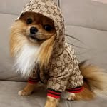 Terry Colella - @terrycolella19 - Instagram