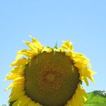 Terry Collette - @terrycollette6 - Instagram