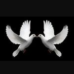 Terry Colley - @colley_terry - Instagram