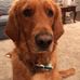 Terry Collison - Facebook