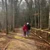teresacosimo15 - @terrycosimo - TikTok