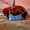 Terri Colosimo Morri - @terrmor - TikTok