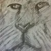 Terry Colson - @terrycolson - TikTok