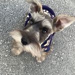 Terry - @comandante_terry - Instagram