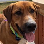 Terry Compton - @terry.compton.37 - Instagram