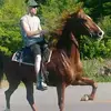 terrycompton946 - @terrycompton946 - TikTok