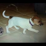Terry Conder - @nan_tess1 - Instagram